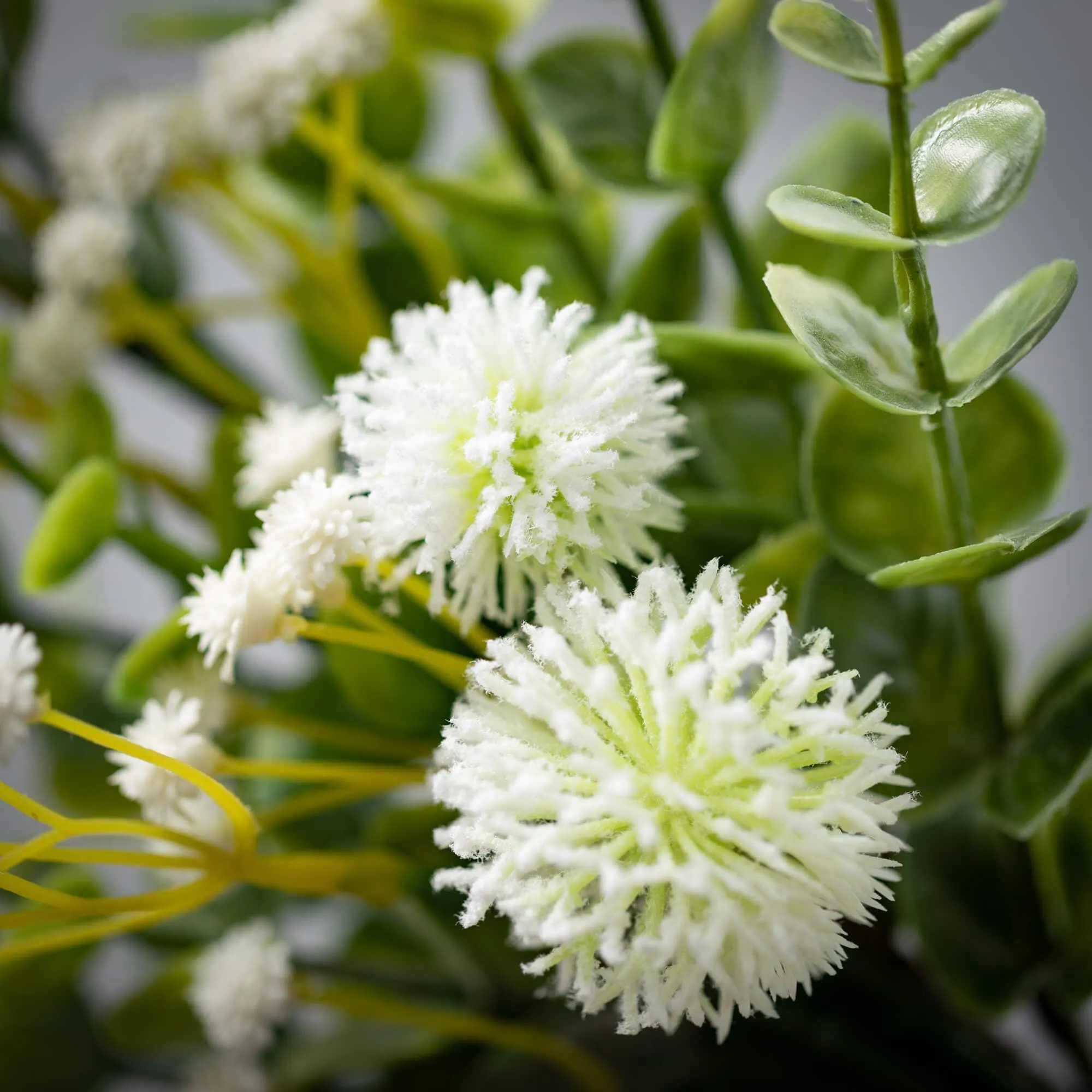 ROMANTIC EUCALYPTUS PICK