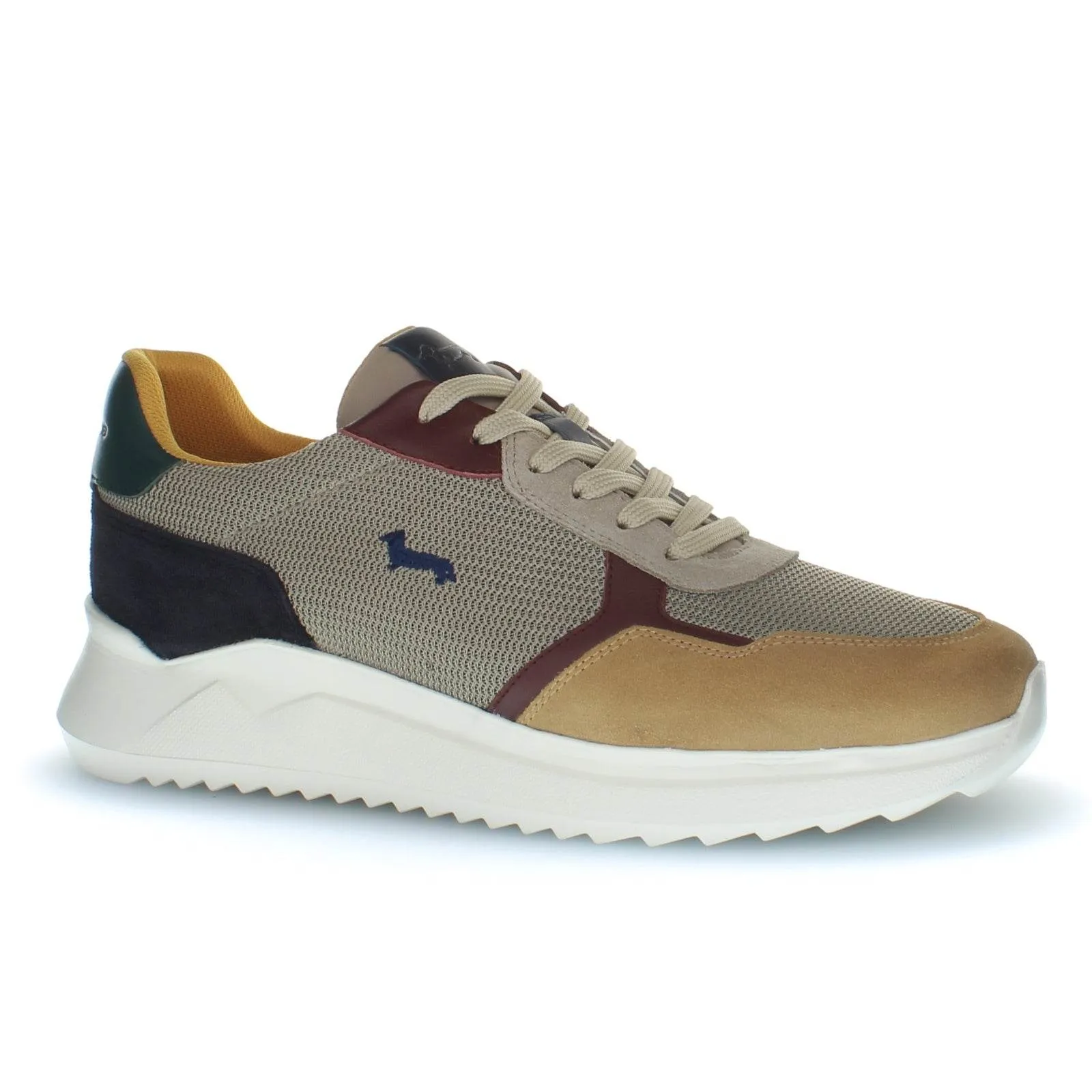 Sneaker Uomo Harmont & Blaine - Scarpa Uomo Camoscio - Tex Fabric - Beige
