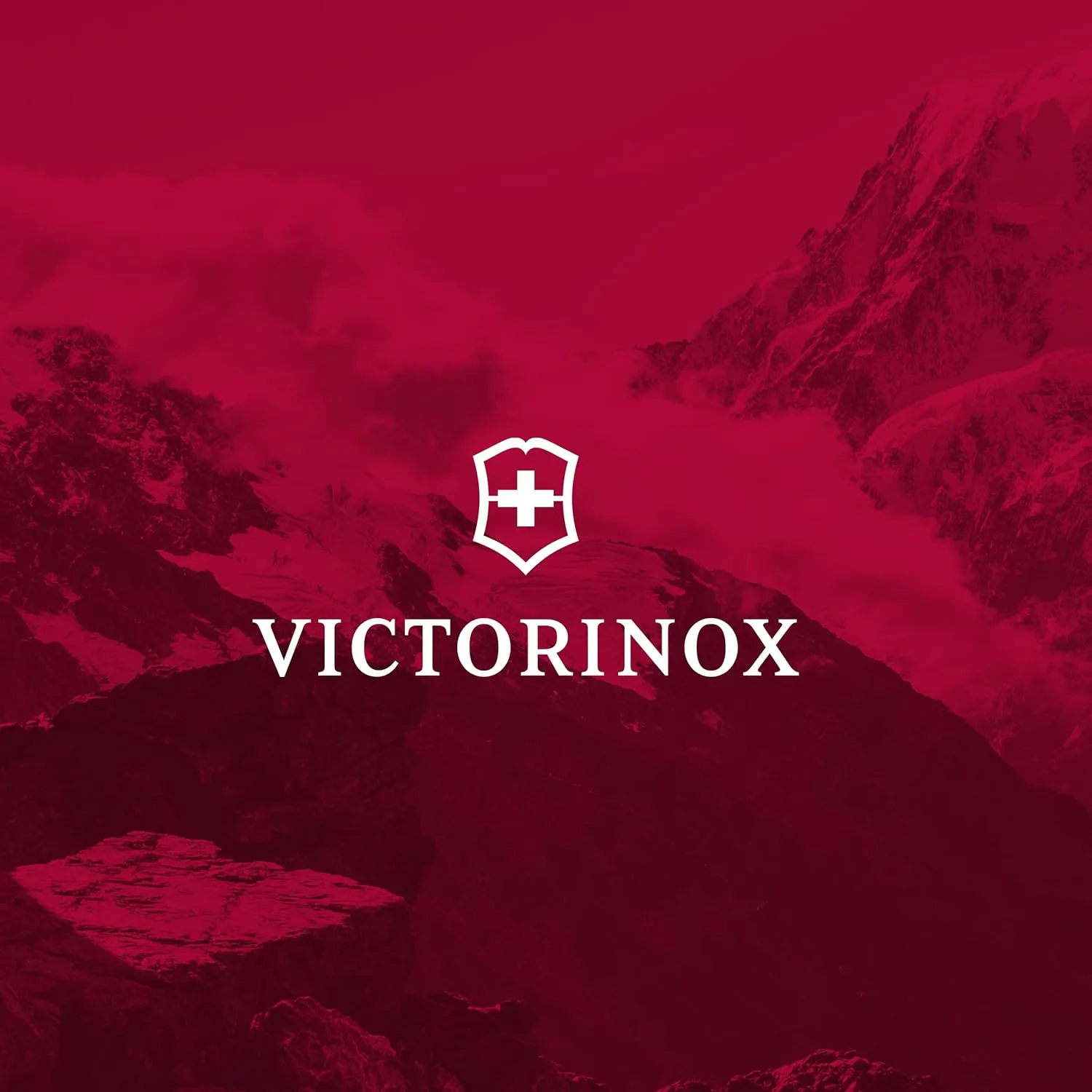 Victorinox VX Sport EVO Compact Backpack - Modern Backpack to Carry Travel Accessories - Includes Airflow Channels & Adjustable Straps - 20 Liters, Black